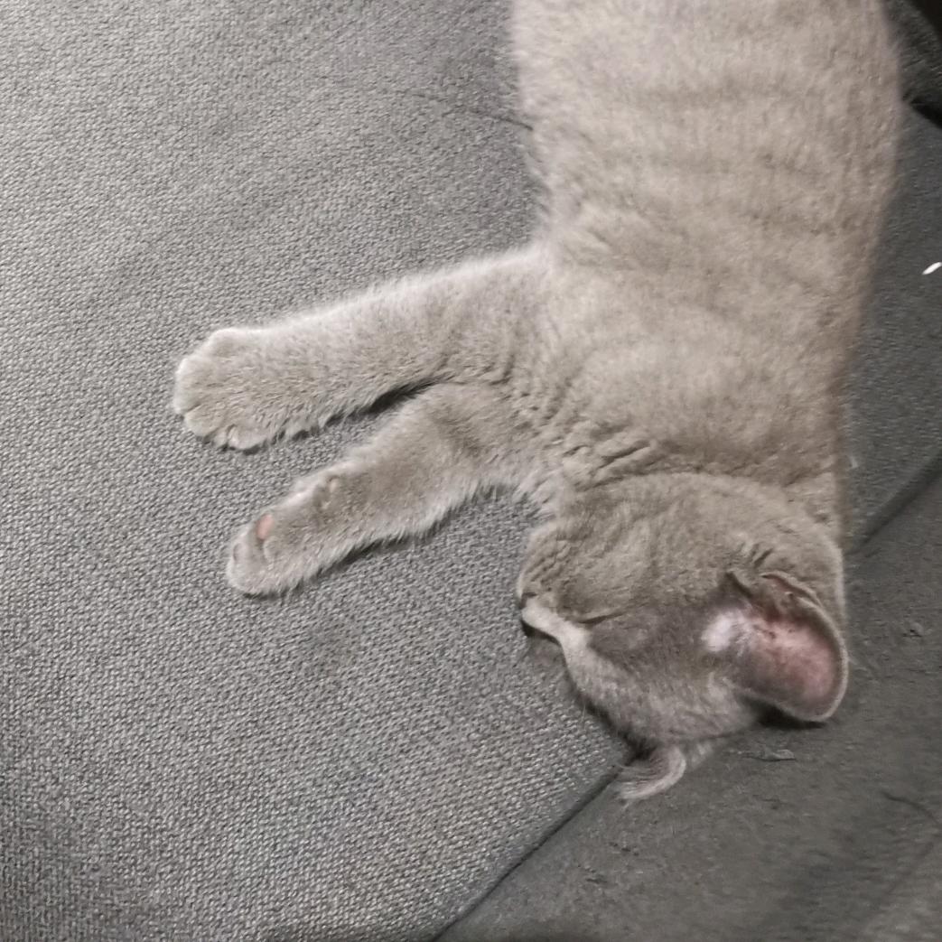 111