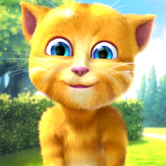 可爱汤姆猫