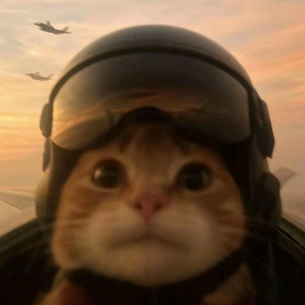 老板来碗米饭🍚