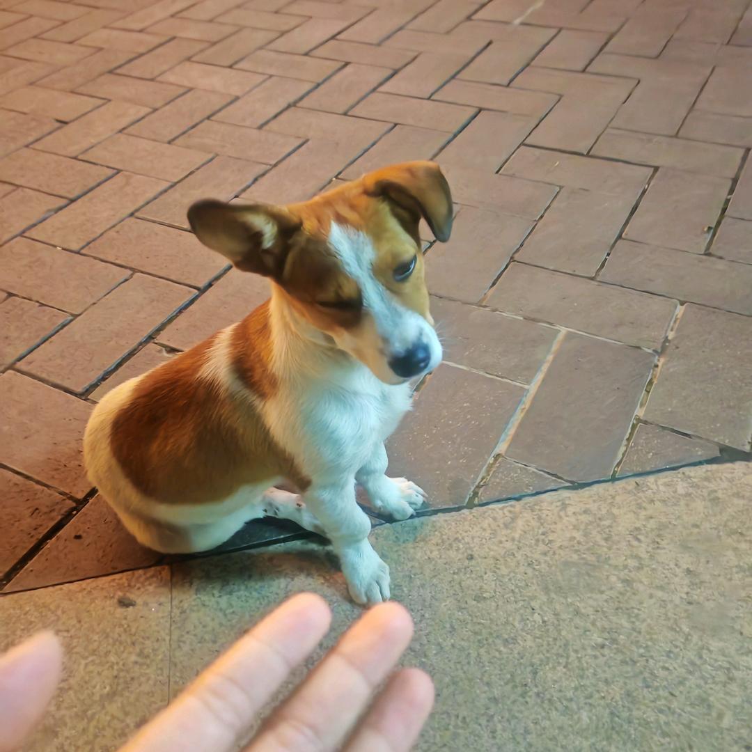 喜欢拉引体