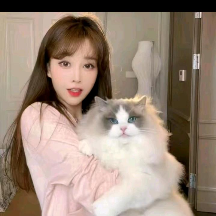 游鹿鹿(爆款返场)