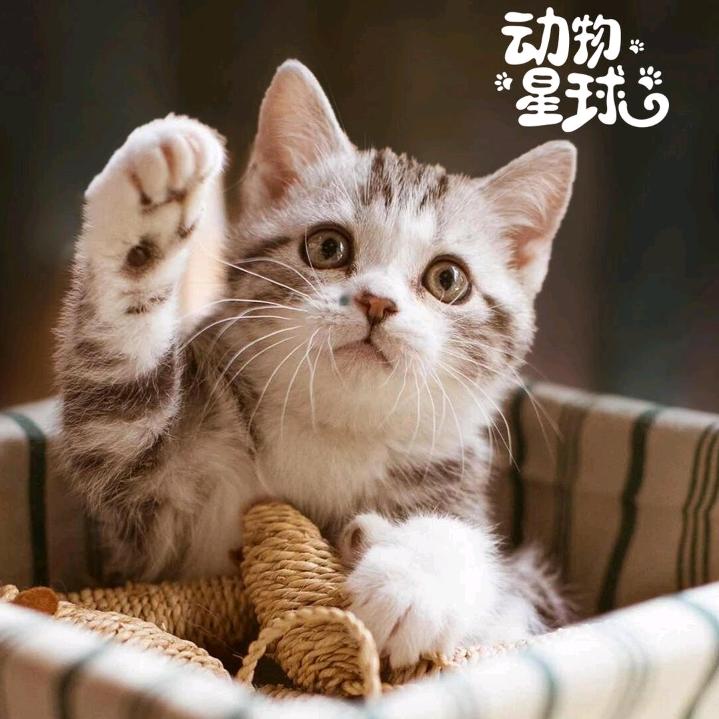 xiao丹~
