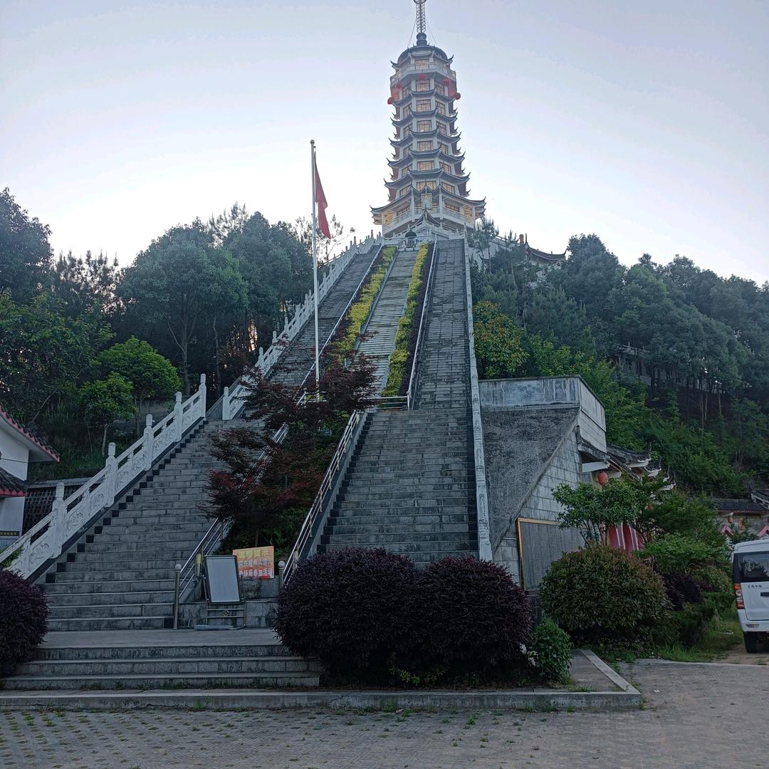 开心乐姐
