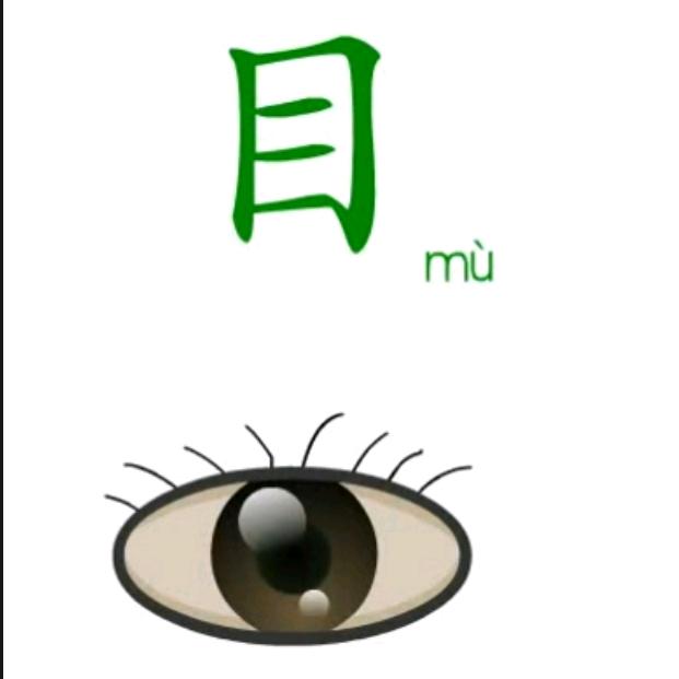 30秒学会一个字