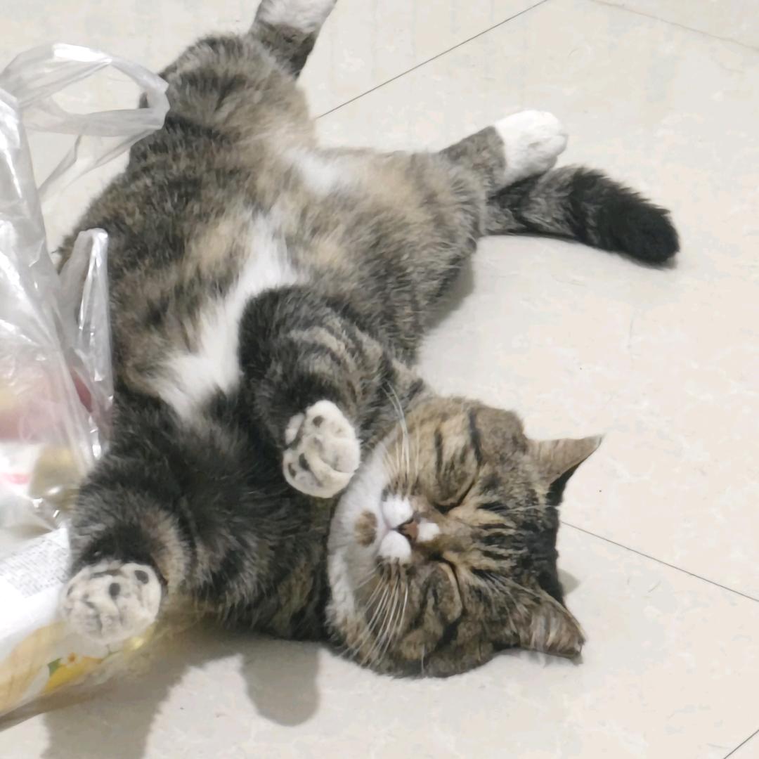 小峰优选