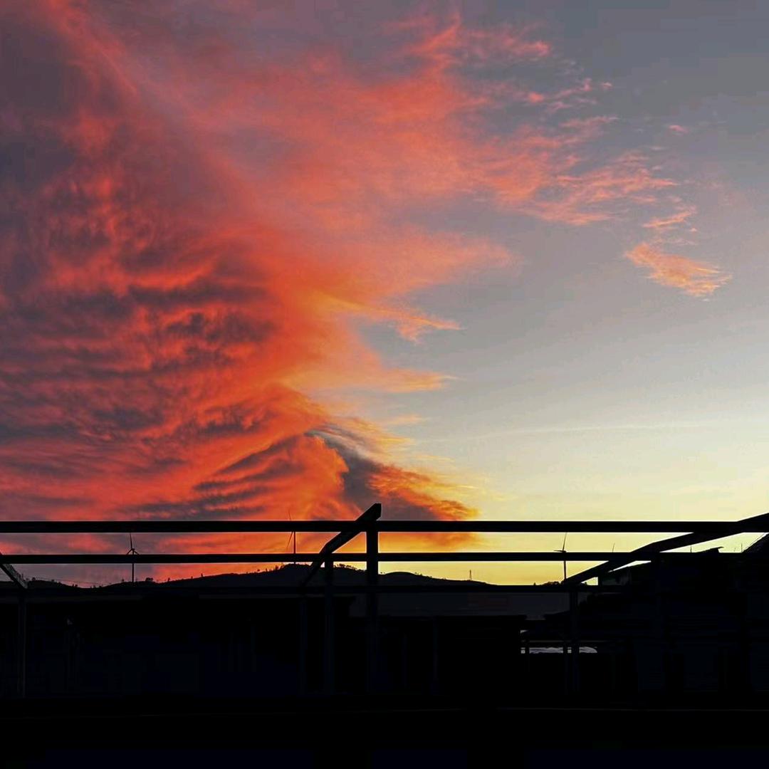 顺道