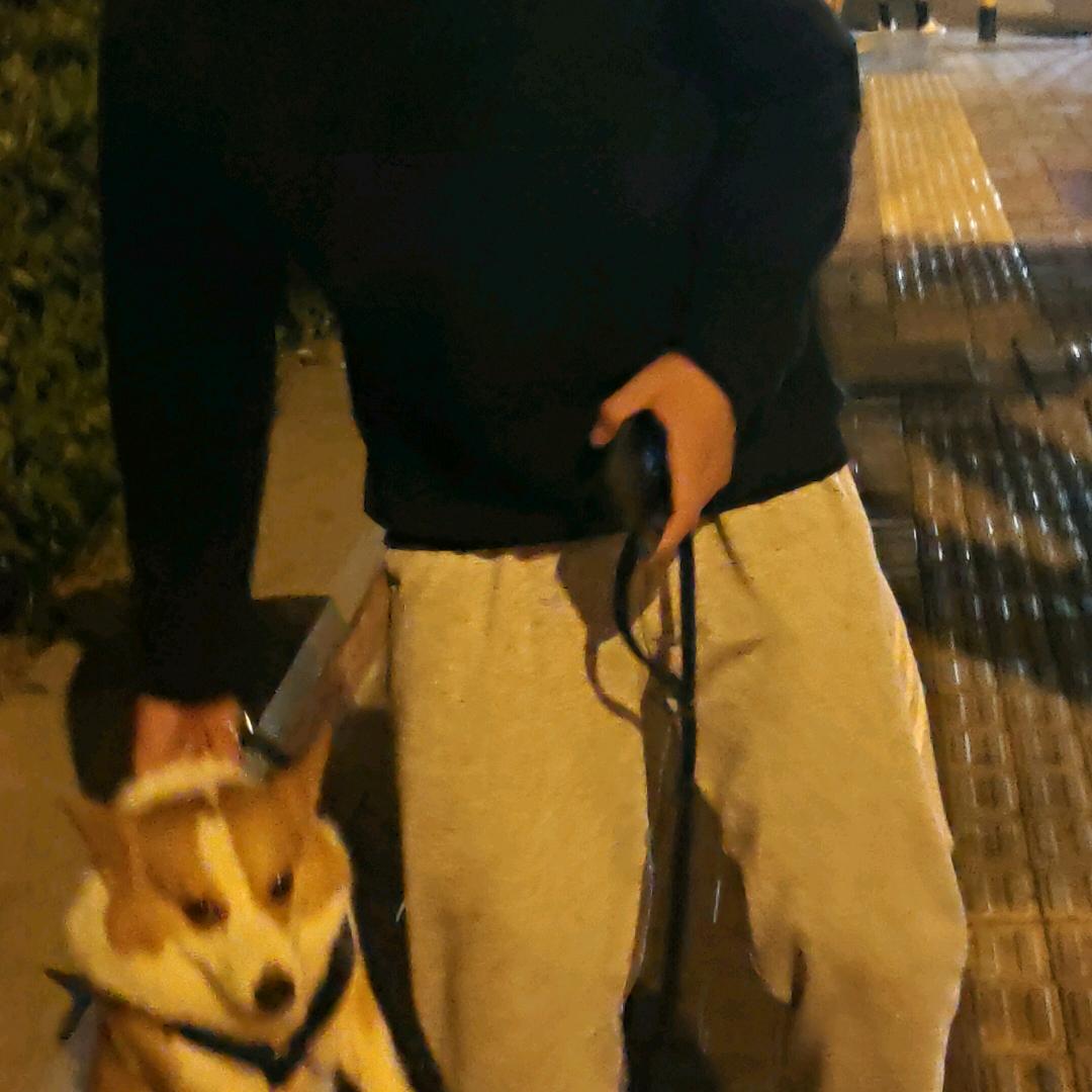 河北第一深情¥