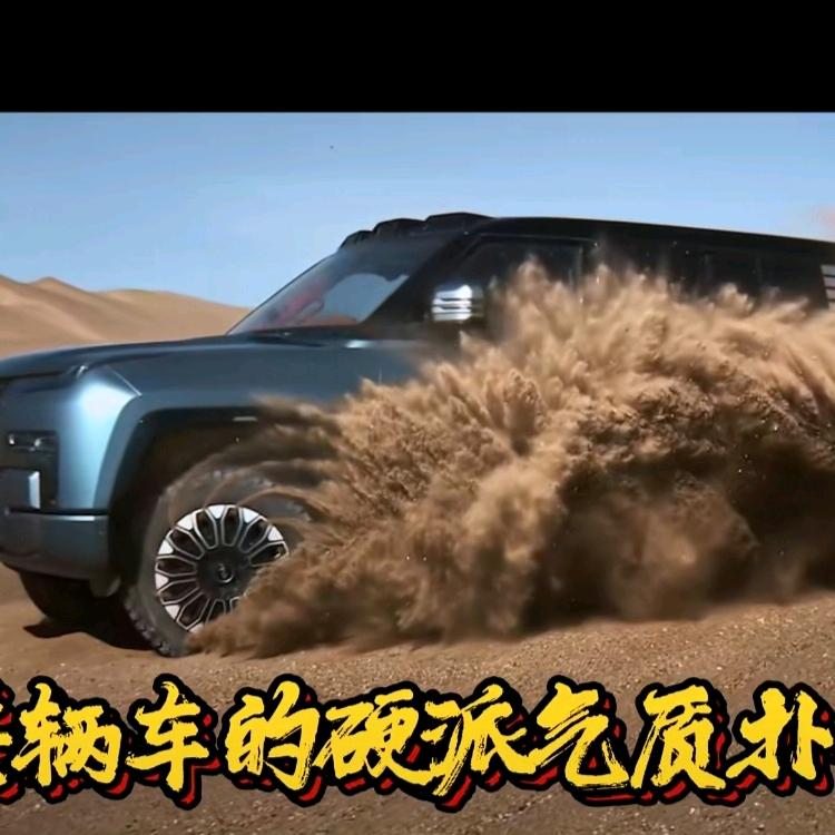 一心只向比亚迪