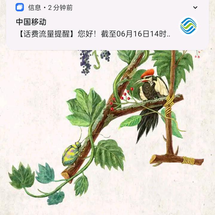 李成贵