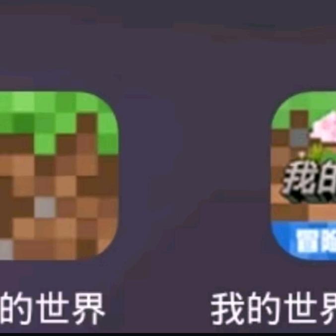 我的世界小助手-只能玩网易了