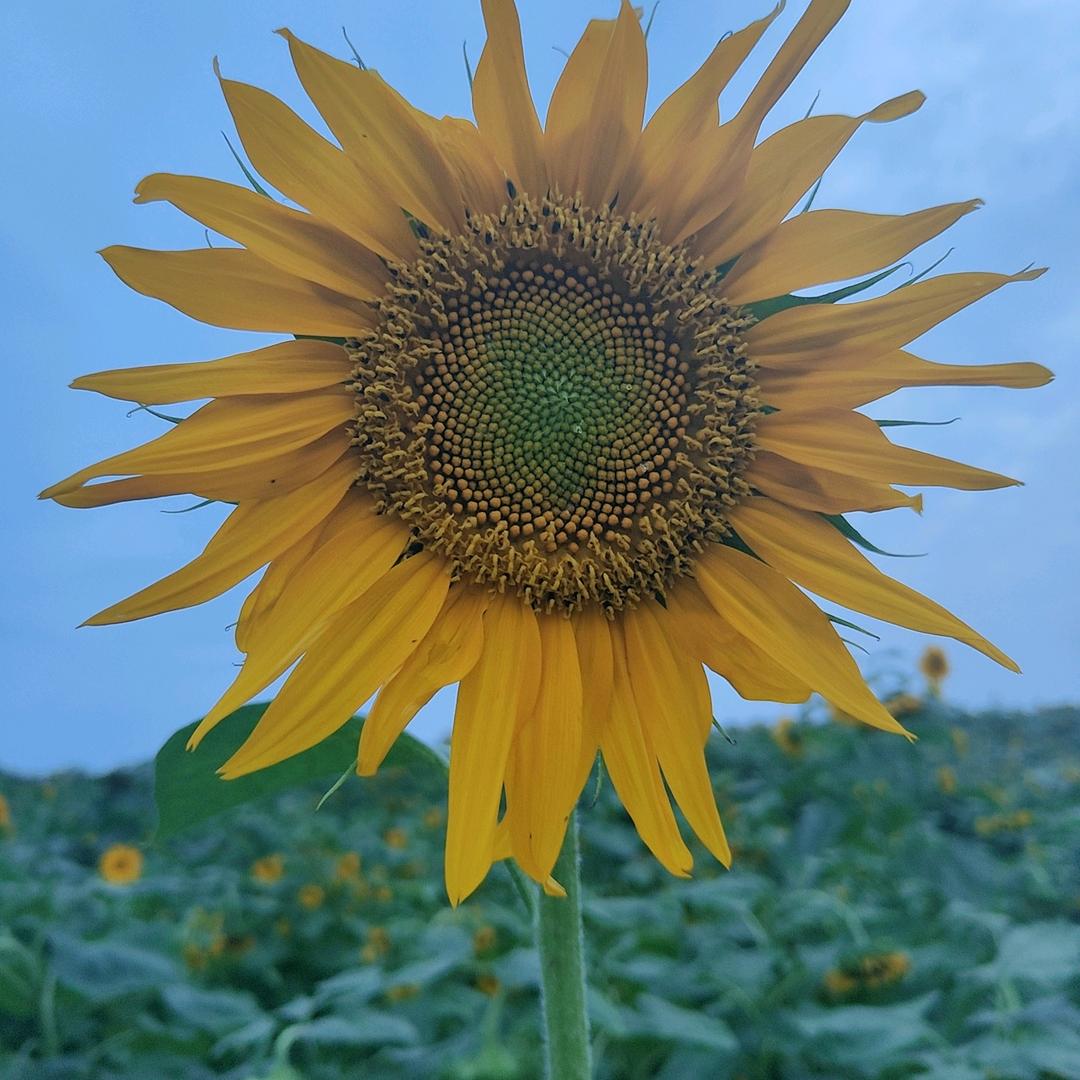 小时光