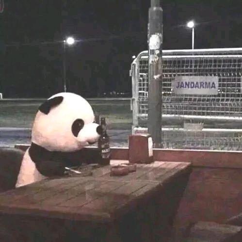 🌈莫西莫西莫西莫西