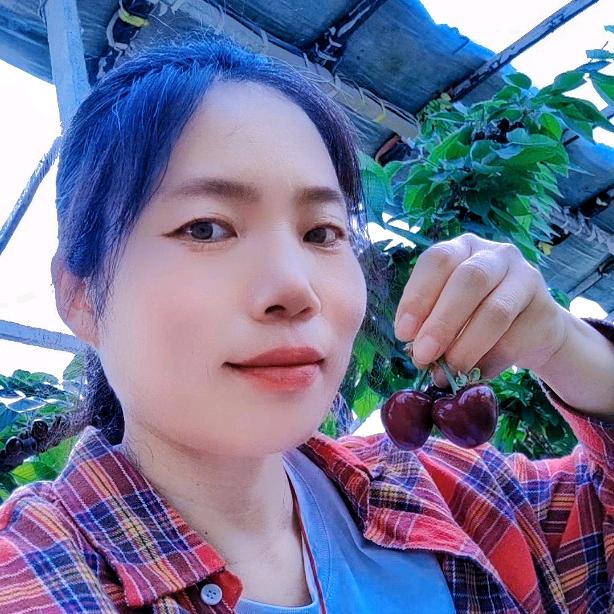 砀山王婷