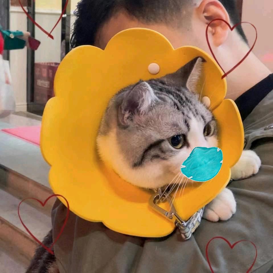 东莞王牌精品二手车