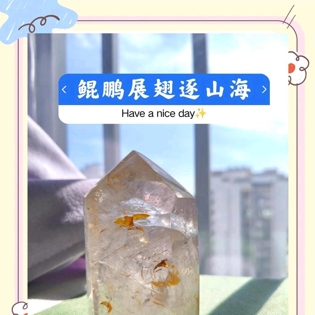 ༺❀ൢ昆鹏༒展翅ൢ❀༻