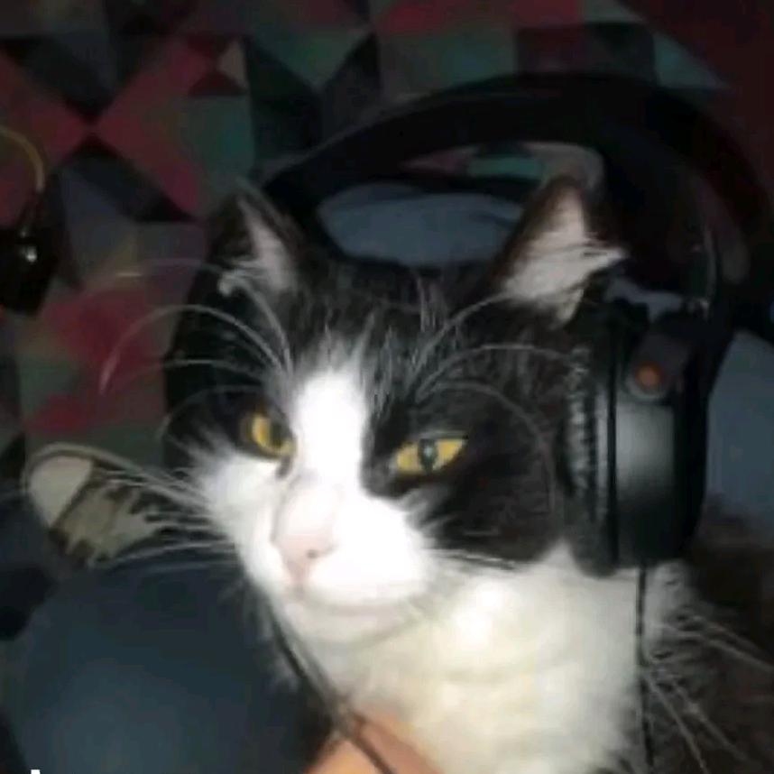 ༄།། མགོན