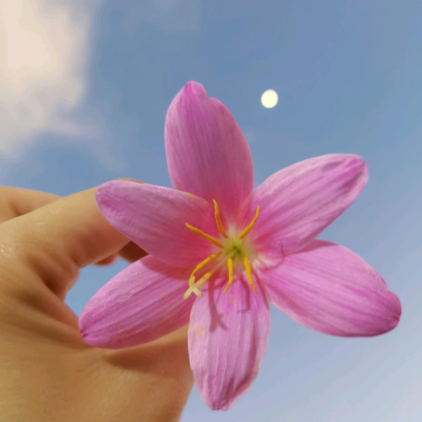 追忆