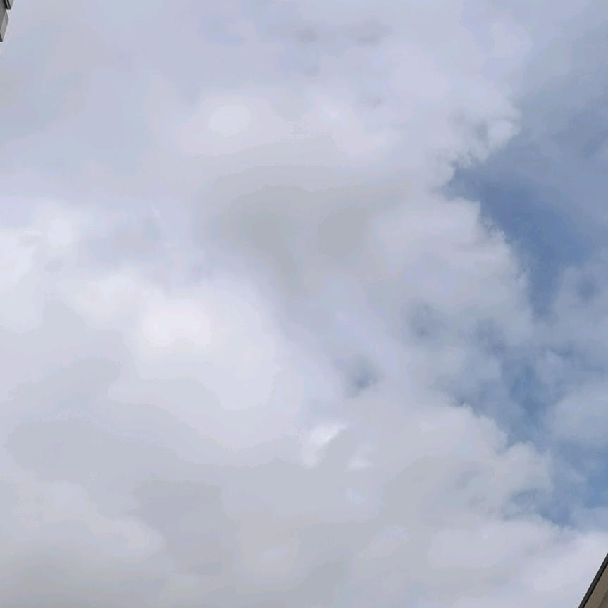 🦋ꦿ໊林᭄ꦿᩚ٭