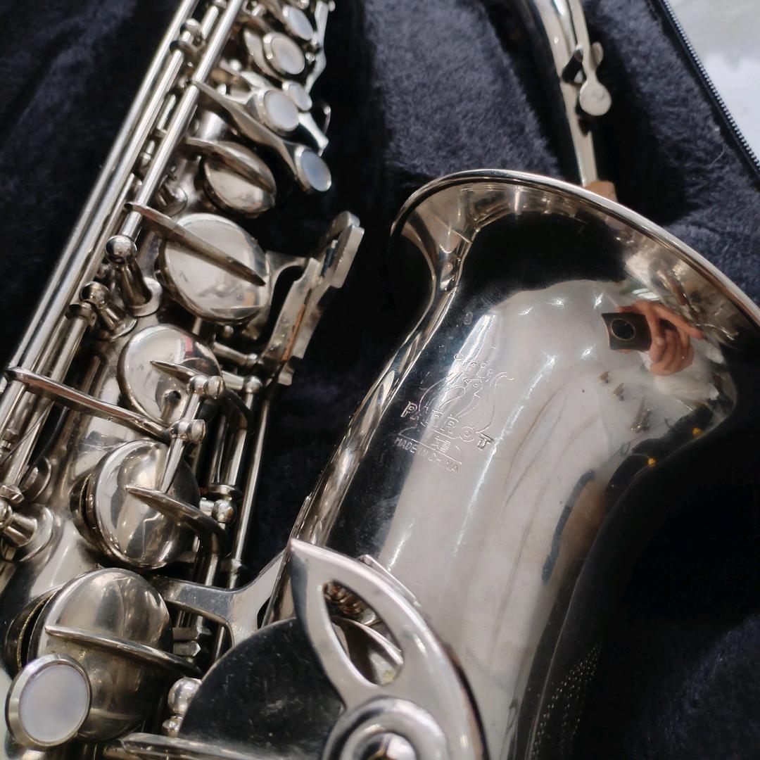 麦子Sax