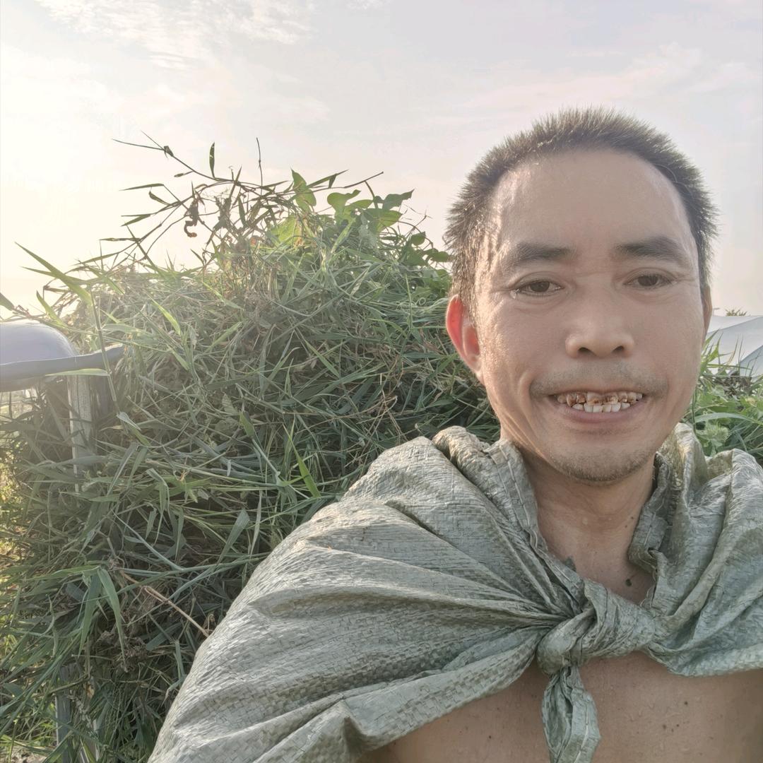 江南哥