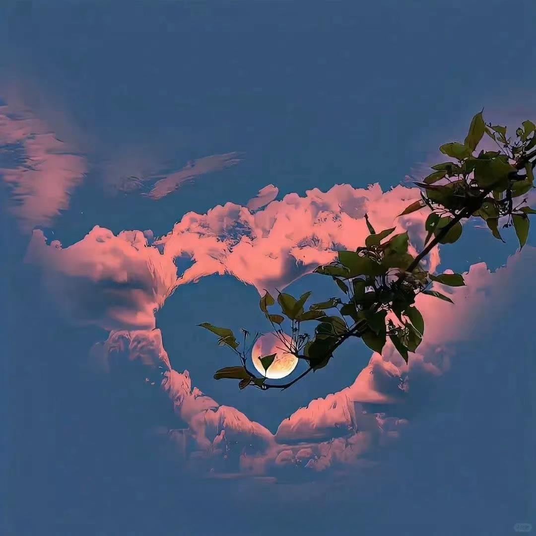 献给你的罗曼蒂克