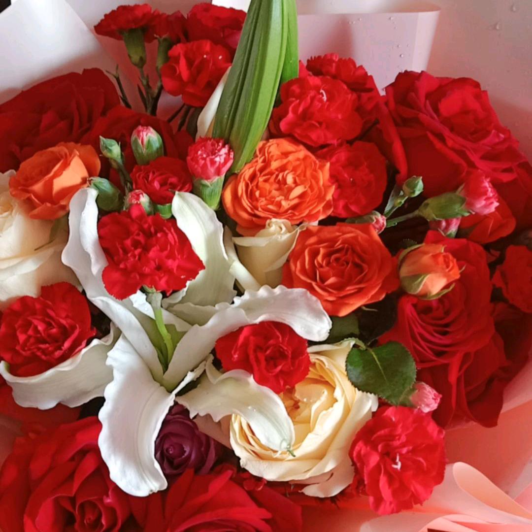 春暖花开 🌸🌺🌺🌺🌷🌷