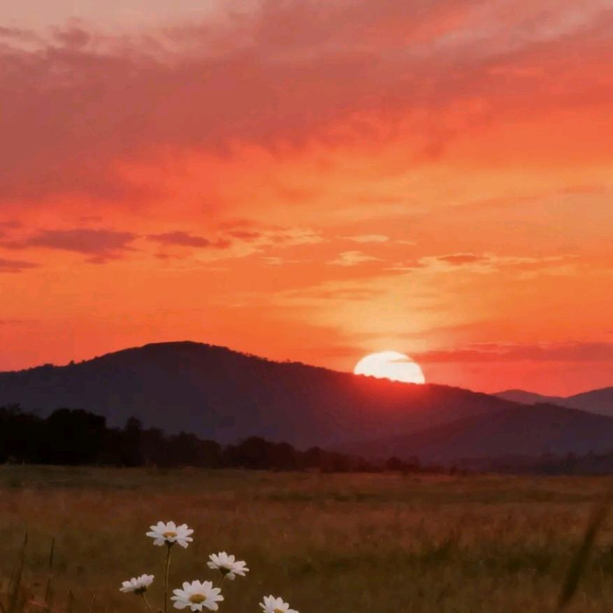 丫丫(⁎⁍̴̛ᴗ⁍̴̛⁎)