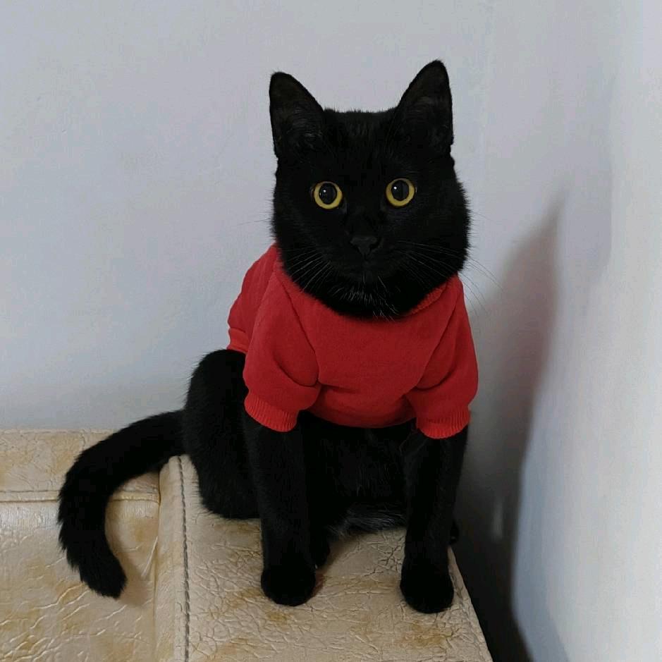延边男子汉