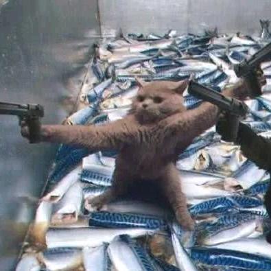 专看胸小的女主播