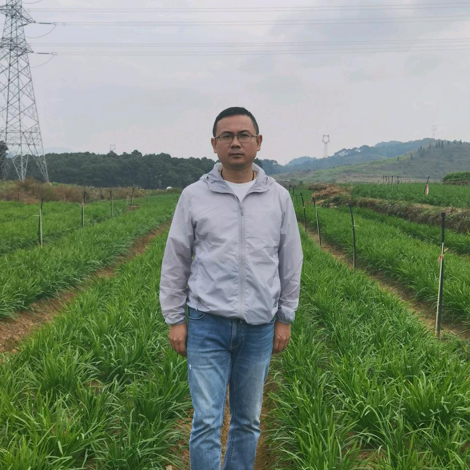 贵州韭菜源头种植基地—赵哥农业