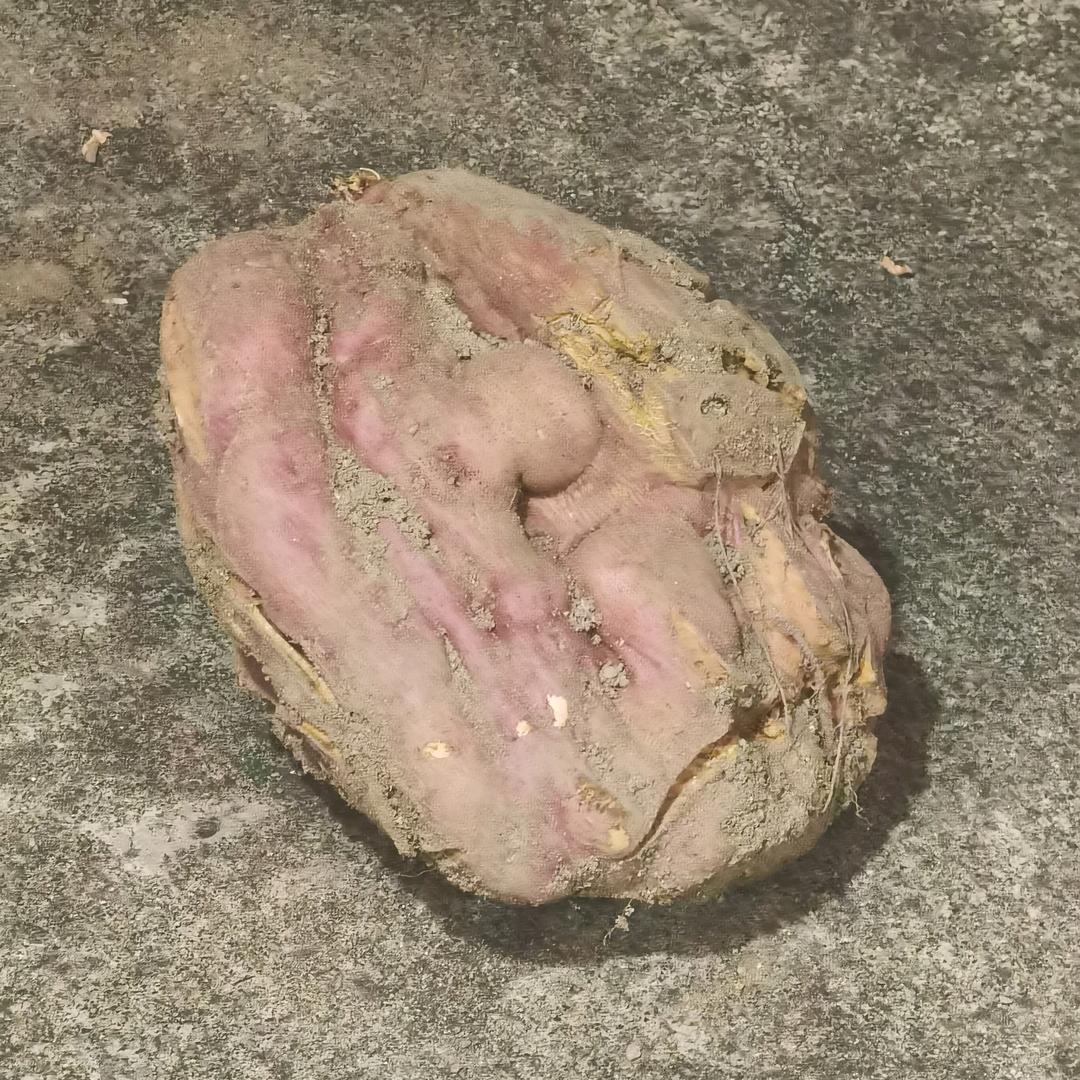 好运加载中✨