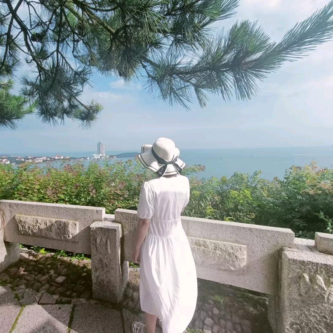 小蜜蜂