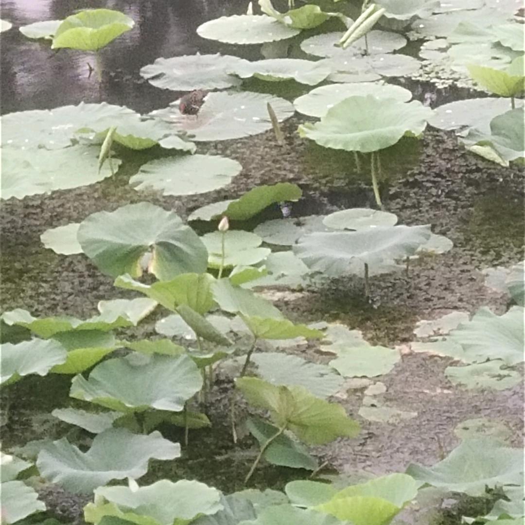 用户754224031571
