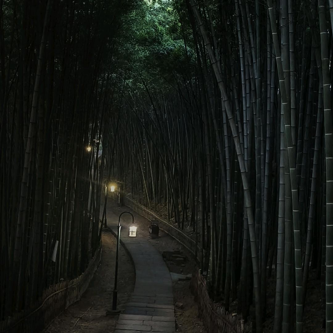 湘江去