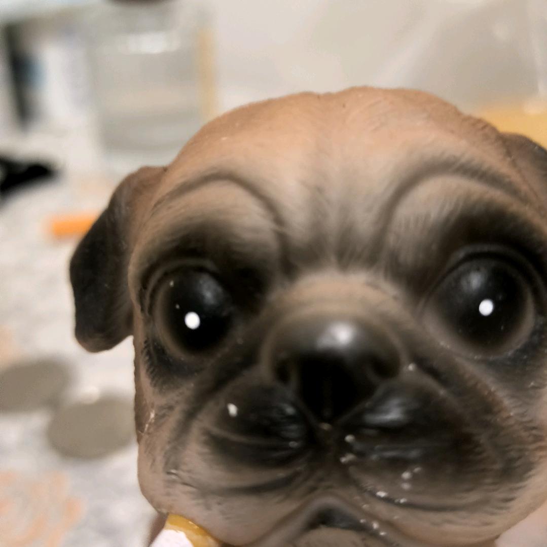 槐琥