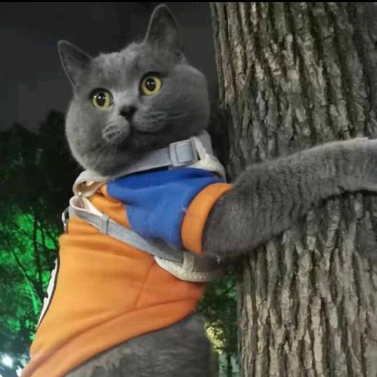 说书卖故事的老猫
