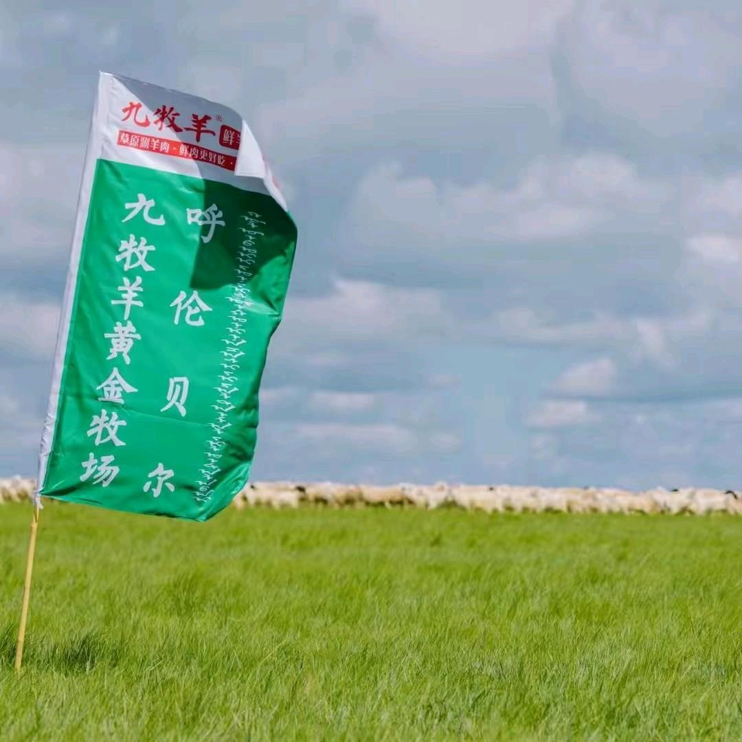 九牧羊鲜羊火锅河西总店