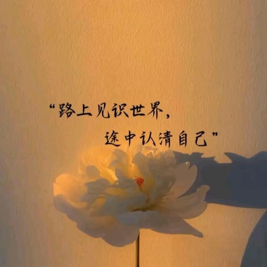 ঞৣঁ🍒᭄小幸运ঞৣ᭄