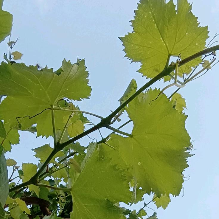 ℒ信ℴ命ꦿ不认命❦এۣۖ