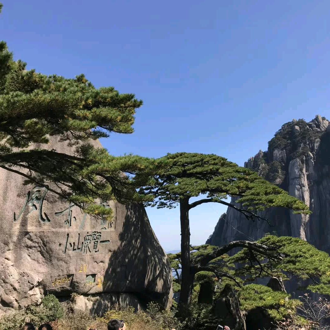 愿所有人健健康康