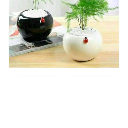 一生幸福