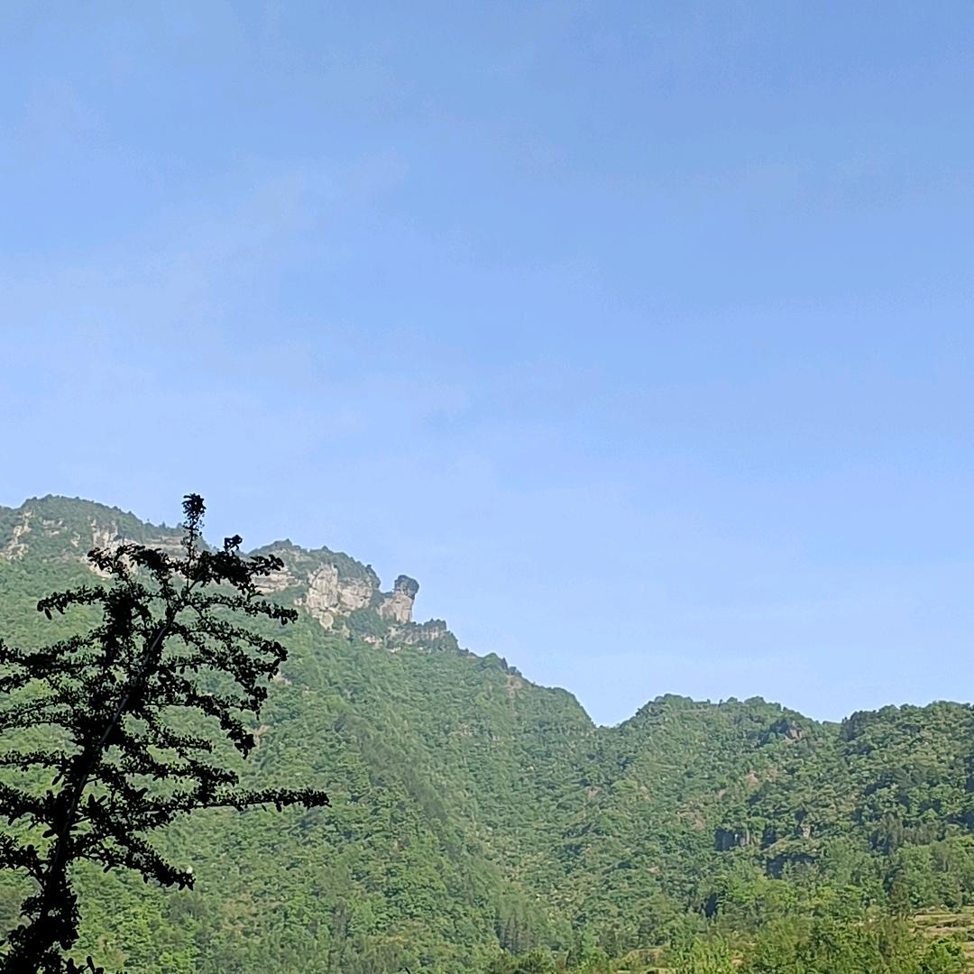 守望山村
