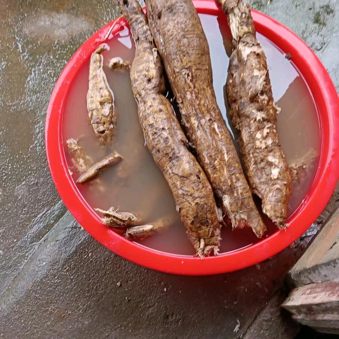 丽姐🔥爱美食