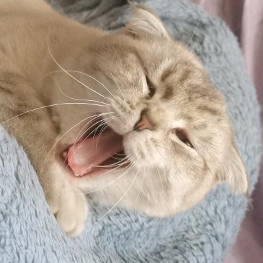 慢慢