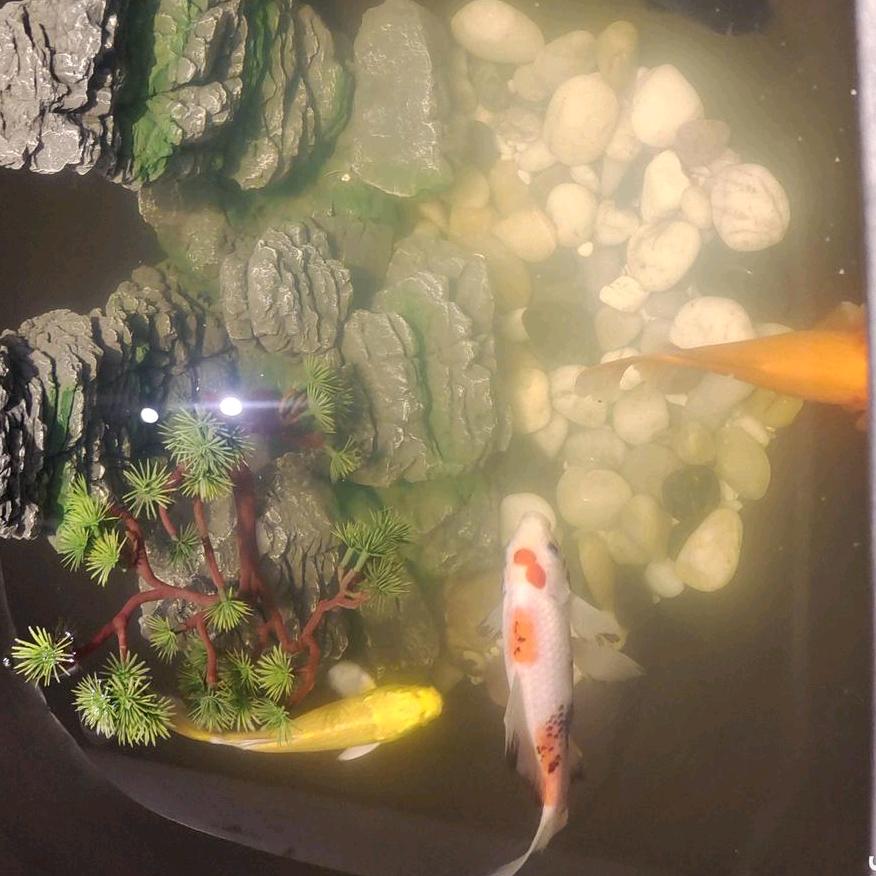 荣，，，