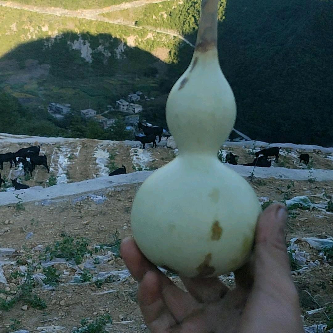 手工香皂