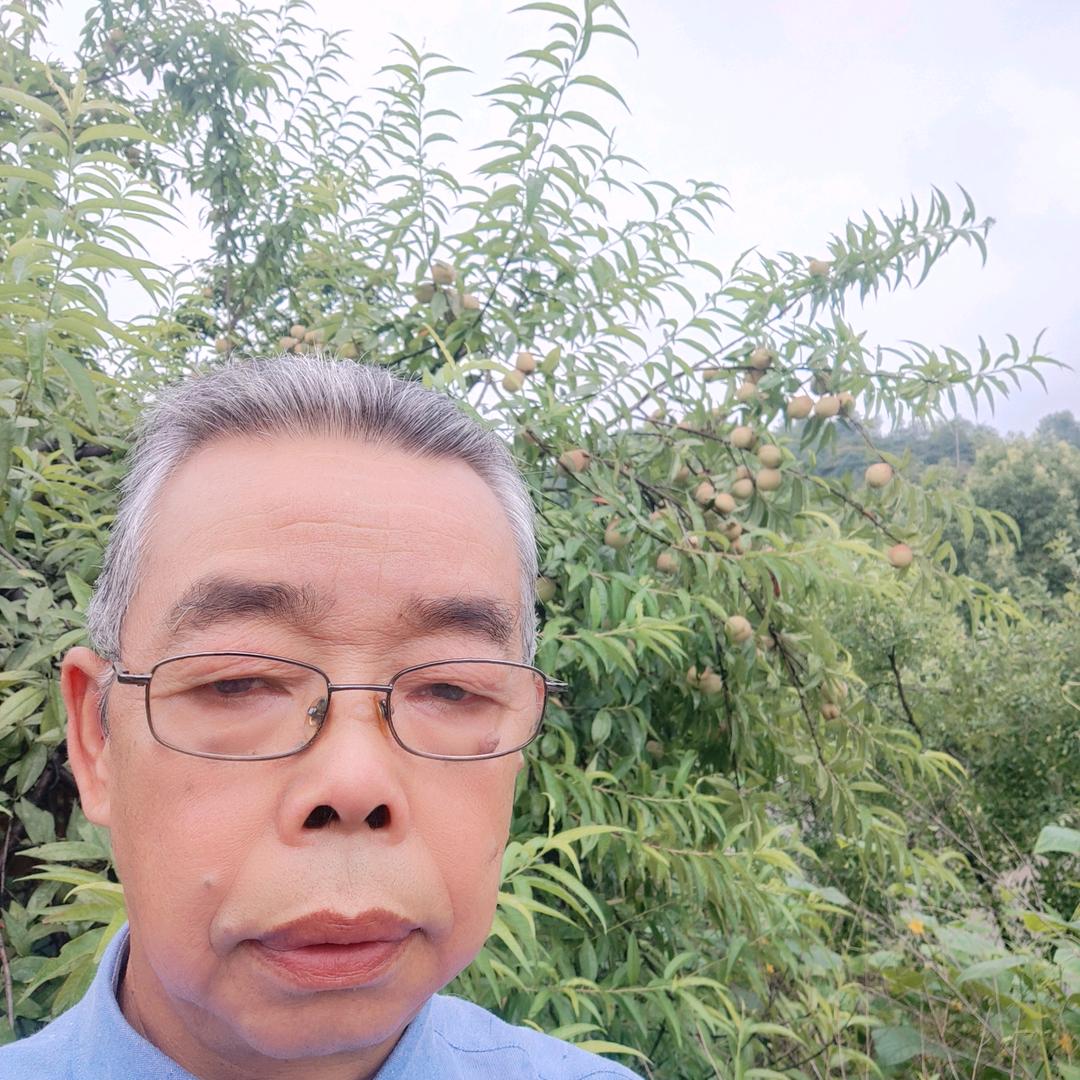 老百友