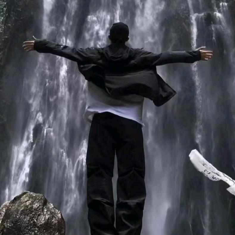 das  Sein  zum  Tode