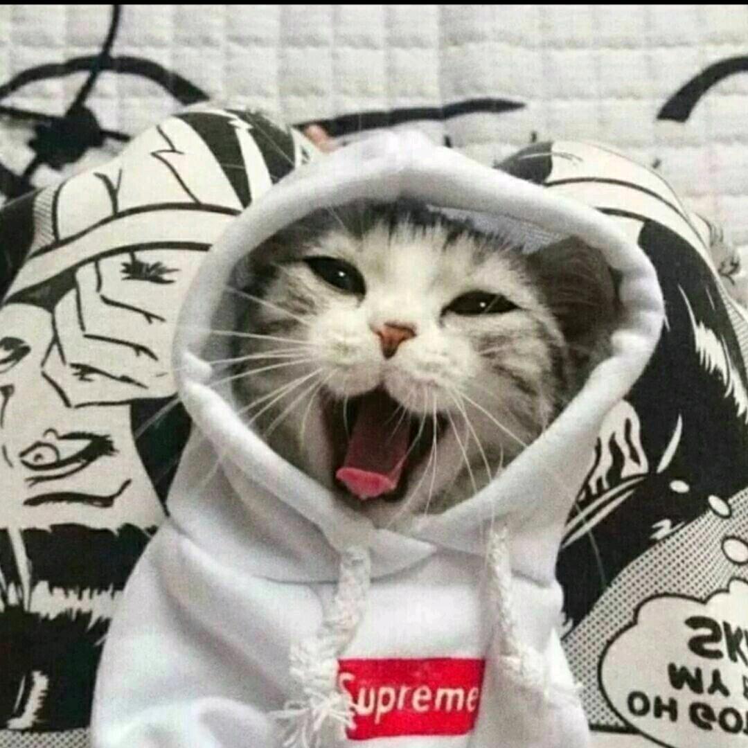 10.