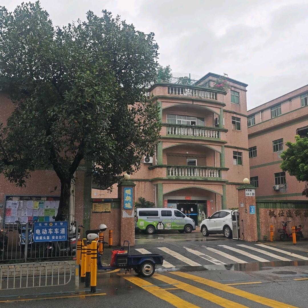 绿叶